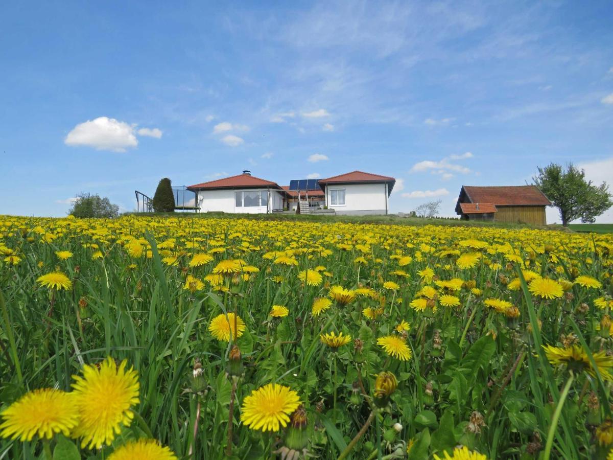 Traumferienhaus Xxl Ortner Wetzendorf Buitenkant foto
